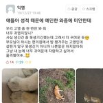 [모두드루와] 예민한 와중에