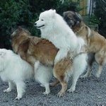 [19] <b>빛삭</b>