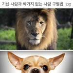 [모두드루와] 이거보고 나만 공감갔어?ㅋㅋ