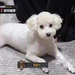 나만 이거 웃기냐
