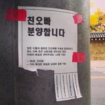 [댓글부탁해] 나 연예인 인형 파는데 가격 에바냐