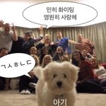 이상형 이정도면 졸라 많이 따지는 거냐?