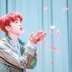 롯데월드 가는 사람