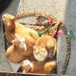 [댓글부탁해] <b>저번</b>에 술집에서 만났던 남자 다시 만나는거 ㅇㄸ