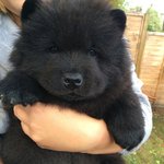 [모두드루와] 안녕하<b>세오</b> 개에오