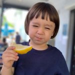 인스타 팔로워 100만 명 돌파한 스타(?)