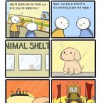 [모두드루와] 입양한 개 있는데....