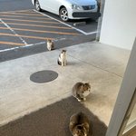 [모두드루와] 파노라마야 뭐야