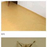 [모두드루와] 어느집에나 꼭 있지 ㅎㅎ