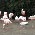 [모두드루와] 불쌍하다 정말..ㅜㅜㅜㅜ