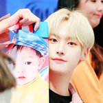 연세대 정시 합격 성적이지만 경희대 수시 납치 당한 아이돌