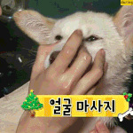 [드루와] 남자들들어와봐 ㅈㅂ