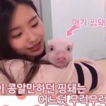 [모두드루와] 2년째 <b>돼지</b>를 키우고 있는 유튜버의 <b>돼지</b> 근황