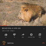 [19] 와 미쳤다 나 유튜브 성인인증 했다