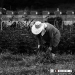 몇번을 읽고 또 읽어도 좋은글