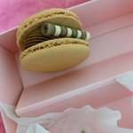 [드루와] 얘드라 이제 얘랑 <b>작별</b>인사해야됨..