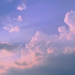 얘들아 나 <b>나비존</b>에 기름이 ㅈㄴ 심한데