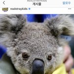 [SKZ] 오늘 <b>찬이</b> 너무 이쁜 인스타글