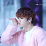<b>두손</b>모아 비는 실물 영접 ㅠㅠㅠ