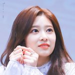 [댓글부탁해] 근데 한효주동생일때문에 한효주 흉보는거