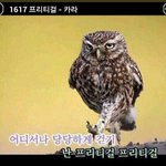 내 피부 어떡하냐 진심 (약혐?