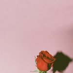 [댓글부탁해] 나 <b>에스</b>크에 질문 첨해봤는데
