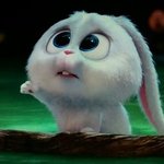 [댓글부탁해] <b>눈밑</b>번짐없는 마스카라 추천해줌 오만원주움