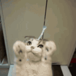 [드루와] 아 솔직히 maroon5 노래 너무 좋은거 아님??ㅠ