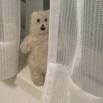 <b>설의</b>대 합격한거 인스타 올리면서