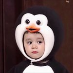 [드루와] 댓굴 달아주면 복덩어리가 당신께 굴러온답니다