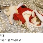 [댓글부탁해] 구두 <b>신어</b>도 키 작은 여자들 한심함