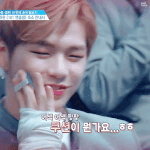 [강다니엘] <b>쿠션</b>이 뭔가요