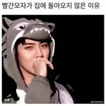 [댓글부탁해] 남사친이랑 고백각 잡혔어 도와줘