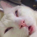 나 생각해보면 커밍아웃