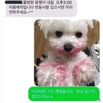 이거 짤 넘 귀엽지않냐