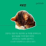 [댓글부탁해] 나 오늘 꿈꿨는데