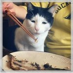 [모두드루와] 표정 왜이런거야....?