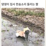 [드루와] 와 나 짝남 찐사랑인가봄...