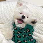 [드루와] 예비고 들어와방