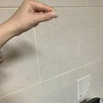 내 <b>머리</b>카락 <b>곱슬</b> 봐봐 ㄷㄷ