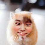 [모두드루와] 이대휘 근황