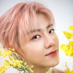 [NCT] 개인컷도 넘 좋다ㅠㅠㅠㅠ