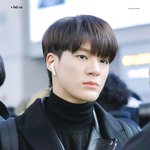 제노가 처음으로 <b>사비</b>로 산 공항 착장