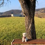 주말나들이 댕겨왔어용~~