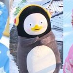 펭수가 너무 터저 울음 터진 벤<b>토리</b>