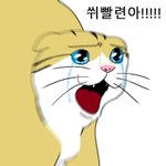 [모두드루와] 첸 <b>미필</b>에다가 결혼발표 임신까지? ㅋㅋㅋㅋ