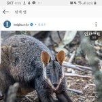 진짜 호주 <b>산불</b> 4개월동안 안꺼지는거