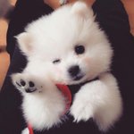 [모두드루와] 사주팔자 <b>tmi</b> 모음집 2