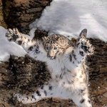 헐 ㅋㅋㅋㅋㅋㅋ귀엽