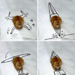 ㅋㅋㅋㅋㅋㅋㅋㅋㅋㅋㅋㅋㅋ대박